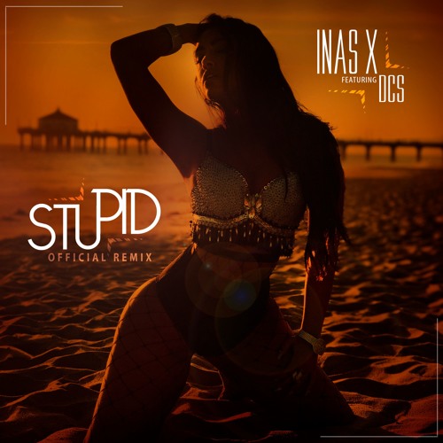 #Stupid (Remix) ft. DCS