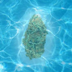 W & W Prod. Arai Shakku