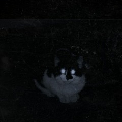 darkvision (Flip This!)