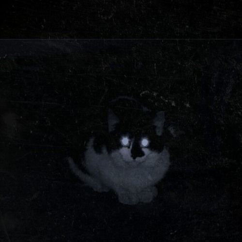 darkvision (Flip This!)