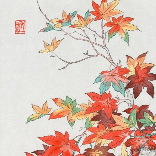 New Leaf