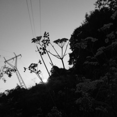 Mikko Kuusto – Piru ja minä blues