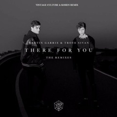 Martin Garrix & Troye Sivan - There For You (Vintage Culture & Kohen Remix)