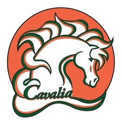 Cavalia Morning Set (07h-08h30) After-Karma