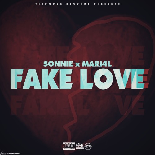 Fake Love [Prod. BigLankOnTheTrack]