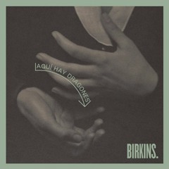 The Birkins - Aquí hay dragones
