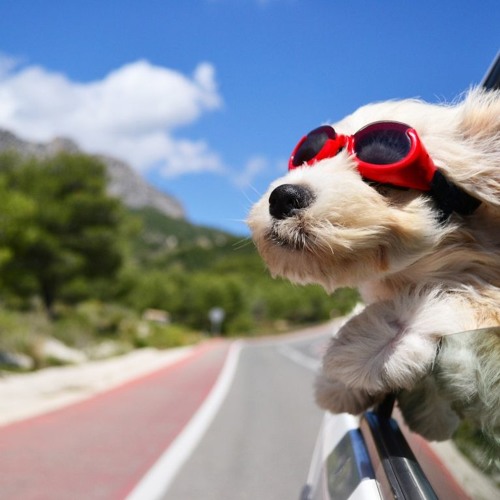 Không Có Trải Nghiệm, Tuổi Trẻ Không Đáng Một Xu