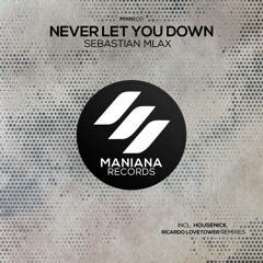 Sebastian Mlax - Never Let You Down