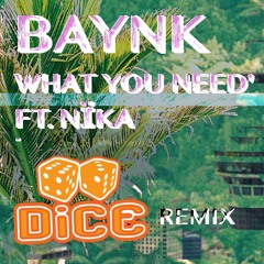 BAYNK  - WHAT YOU NEED FT. NÏKA (DiCE'REMiX)