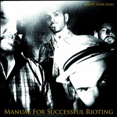 Birdy Nam Nam - Manual For Successful Rioting (Roboy Remix)