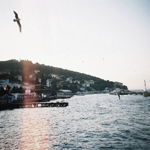 ayakta kalmak zorundayız
