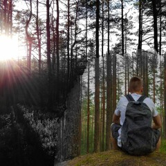 P!nk - What About Us (DnB Remix)