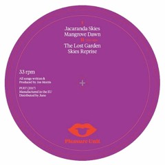 Joe Morris - Jacaranda Skies (STW Premiere)