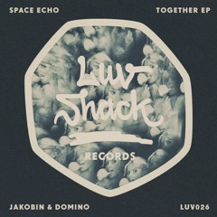 Premiere: Space Echo - My Heart My Soul [Luv Shack Records]