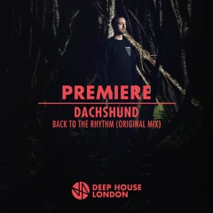 Premiere: Dachshund - Back To The Rhythm (Original Mix)