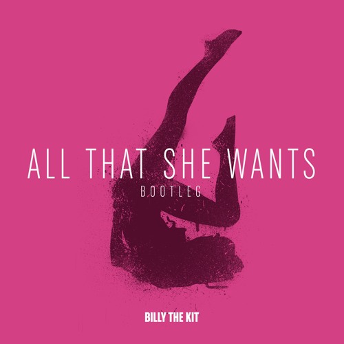 Ace Of Base - All That She Wants (Billy The Kit Bootleg).mp3