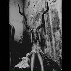 Live Extrakt - Time Travel