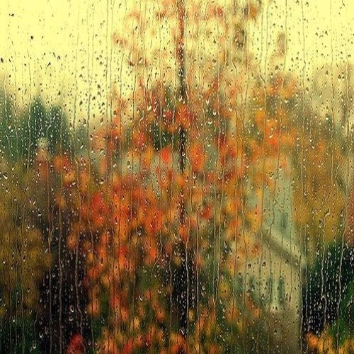 Autumn Leaves