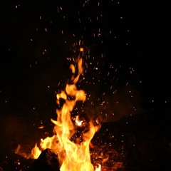 WiiLD +%>?  ft. Burna Flames