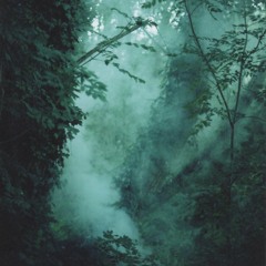 Vlad Sóro - åudio rite, act IV - 03.10.2017