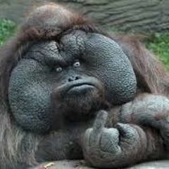 Ugly Child Rapist Gorilla