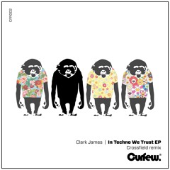 Clark James - Trust (Original Mix) - Curfew CFR002 [Preview]