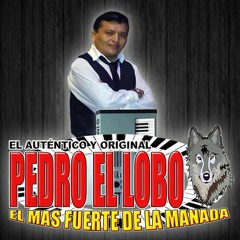HABLAME DE TI-"PEDRO EL LOBO EL MAS FUERTE DE LA MANADA"