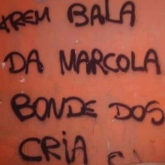 ELAS QUER DA PRA TROPA DA MARCOLA (DJ RT RELIQUIA)