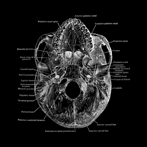 Дℹ𝔰☦Яℹ𝕂☦⑮