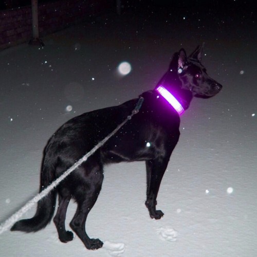White Blood [Prod. HOUNDS] VID IN DESCRIPTION