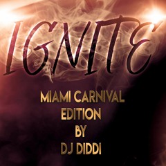 IGNITE MIAMI PT2