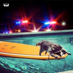 MOD  - Raccoon and Police [ micromir 004 ]  free download