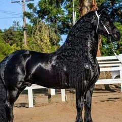 ) Heriste Mi Corazon