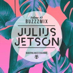 Buzzzmix Vol. 43 - Julius Jetson
