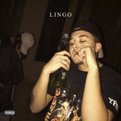 Lingo