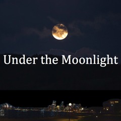 Under the Moonlight