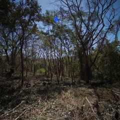 Santa Rosa Costa Rica