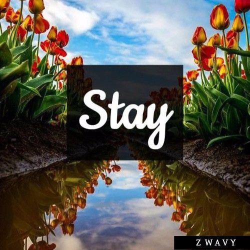 Stay