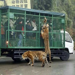 $avage(Prod. By SkippaBeatz)