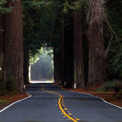 TIMeWITHIT/ Bruiser Å Felix - Prod. Syndrome/-Orangekind