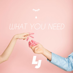 BAYNK ft NÏKA - What You Need (Lucas Jory Flip)