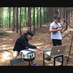 Twenty One Pilots - We Don't Believe What's On TV (Cover)