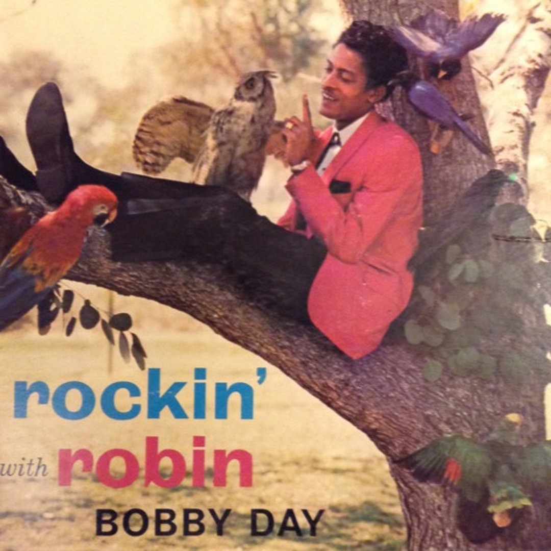 CD Reruns/Rockin' Robin's Rhythm Kings：未使用