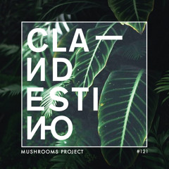 Clandestino 121 - Mushrooms Project