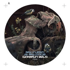Gareth Wild - My Flesh Is my Cage - Audio Clips - EarToGround Records - ETG022