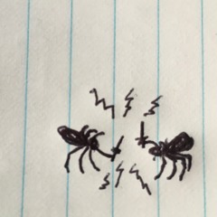 Spiderfight