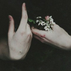 dedim insan, m. mengüç