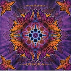 Peace Ka vs Lenz - Only Noise (Peak Records - 2008)