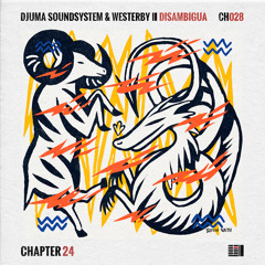 PREMIERE: Djuma Soundsystem & Westerby - Disambigua {KatrinKa Edition} [Chapter 24 Records]