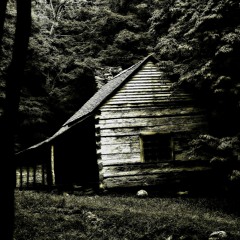 The Little Girl Behind The Tree House